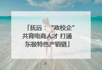 抚远：“政校企”共育电商人才 打通东极特色产销链